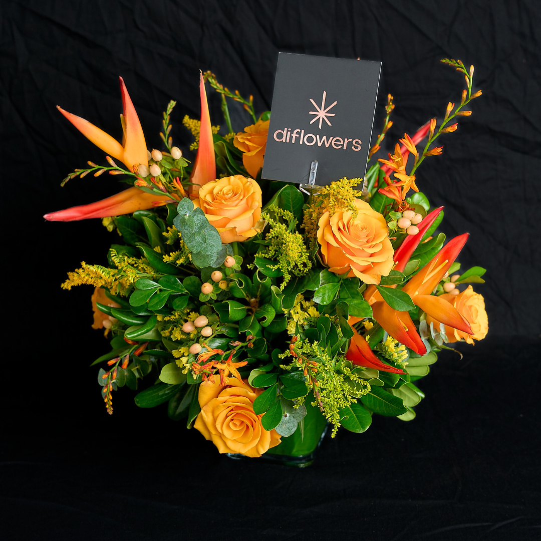 Publicación de Instagram tipográfica en tonos rojos delicada con fotografía 1+1 hacen nuestra maravillosa fmailia de dos Publicación de Instagram tipográfica en tonos rojos delicada con fotografía 1+1 hacen nuestra maravillosa fmailia de dos